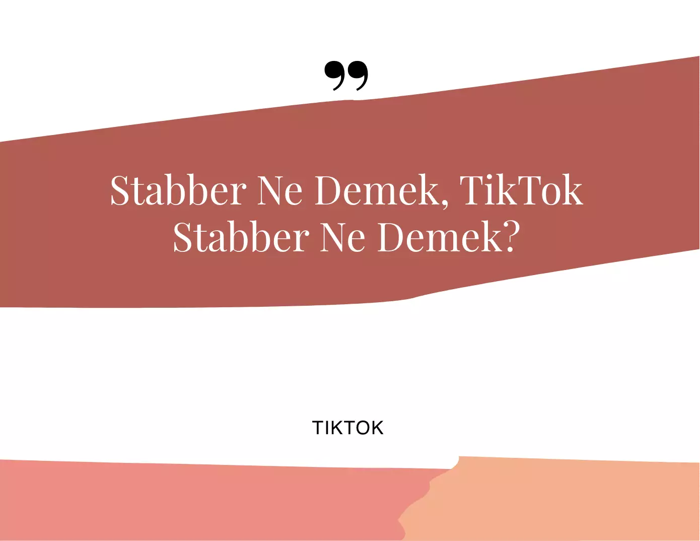 Stabber Ne Demek, TikTok Stabber Ne Demek?