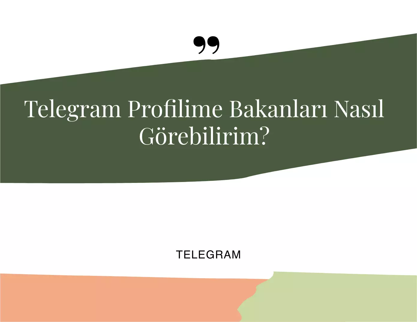 Telegram Profilime Bakanları Nasıl Görebilirim?