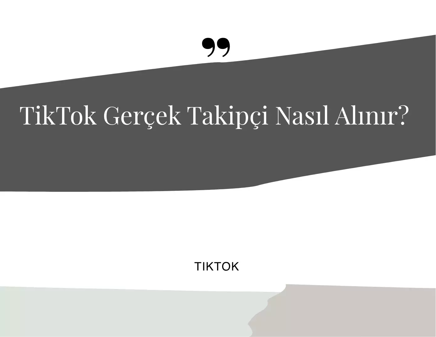 TikTok Gerçek Takipçi Nasıl Alınır?