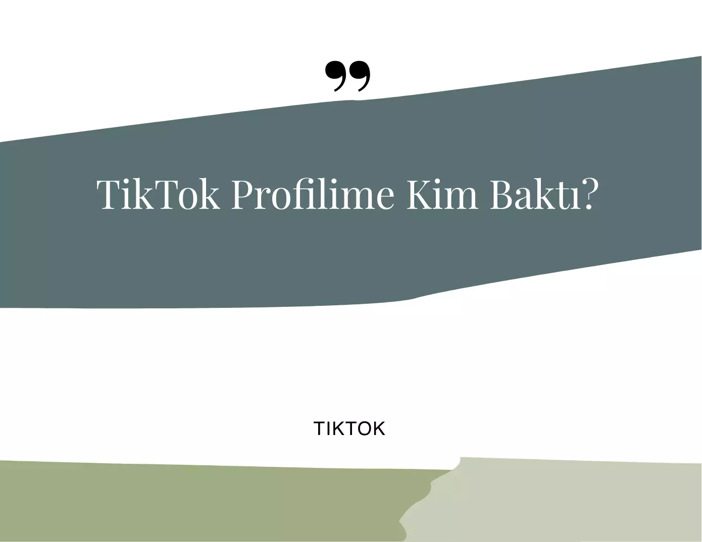 TikTok Profilime Kim Baktı?