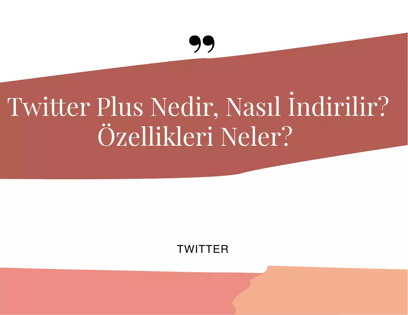 Twitter Plus Nedir, Nasıl İndirilir?